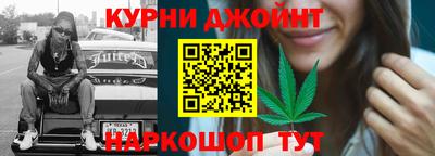 крисы Бийск