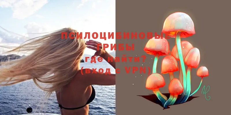 Галлюциногенные грибы Magic Shrooms  Воронеж 