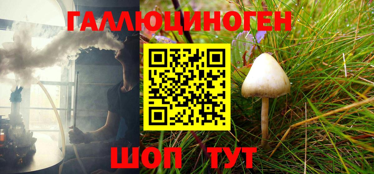 Галлюциногенные грибы Psilocybe Воронеж