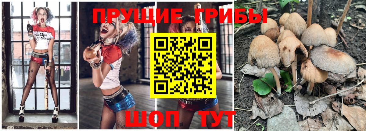 Псилоцибиновые грибы GOLDEN TEACHER  Воронеж 