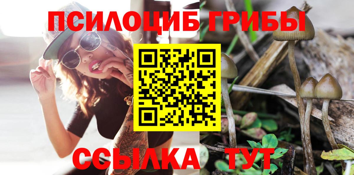 Воронеж  ГАШИШ  Вход с VPN  МЕФ   Бошки Шишки  НБОМе 