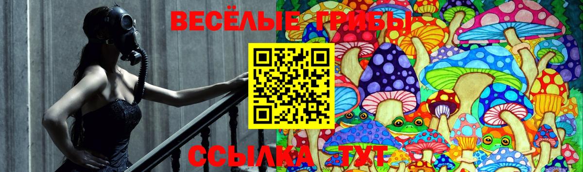 Галлюциногенные грибы Psilocybine cubensis Воронеж